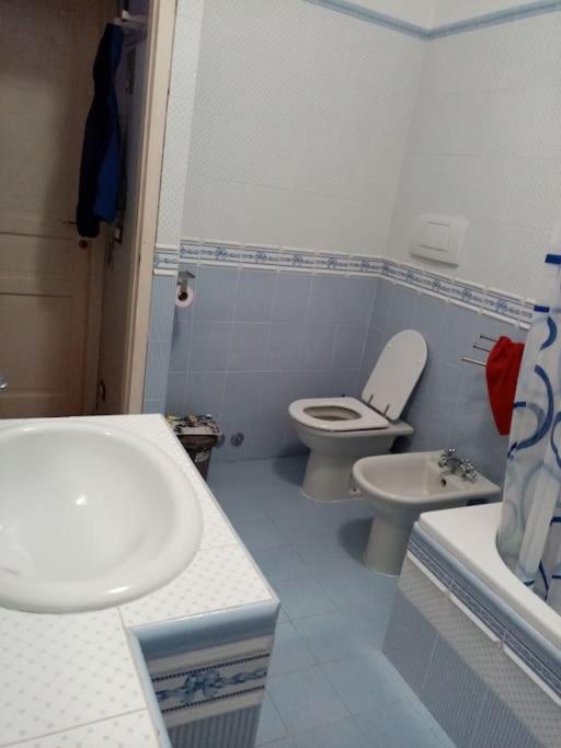 Casa Rosy Villa Arena Metato Dış mekan fotoğraf